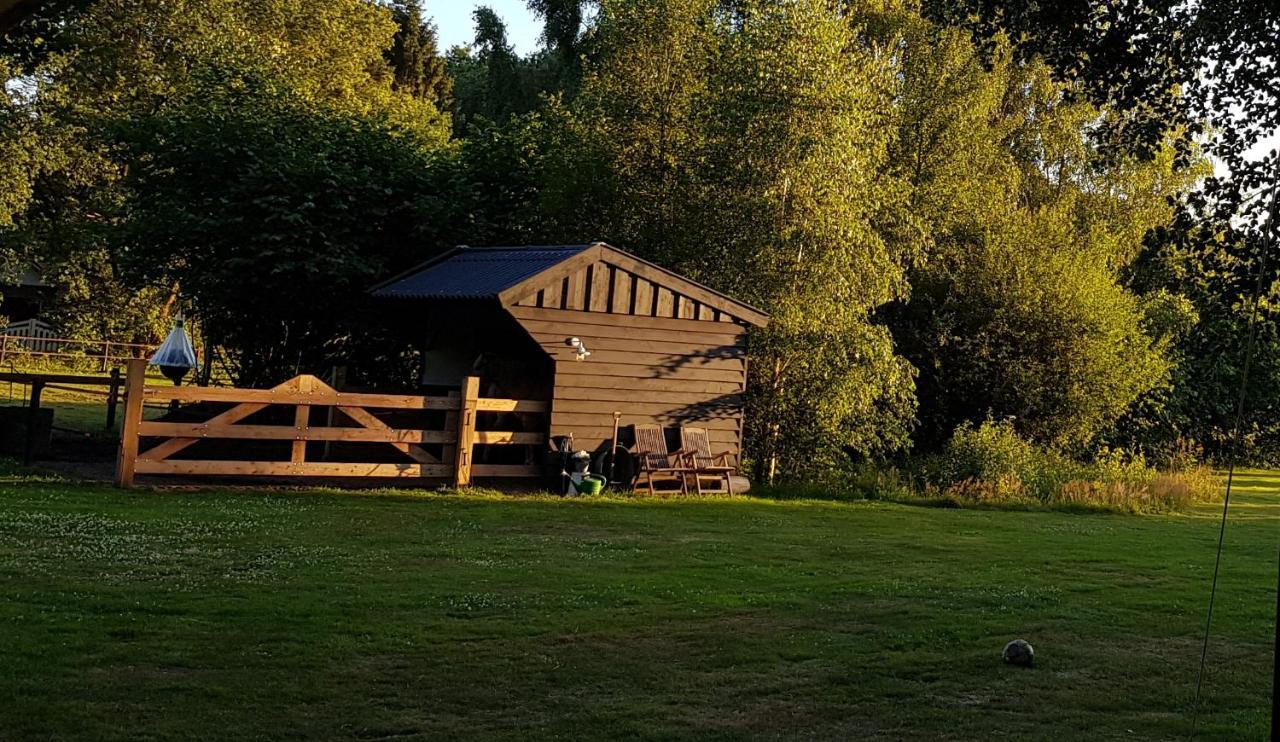 Bed and Breakfast Bij Saar Zwinderen Exteriér fotografie