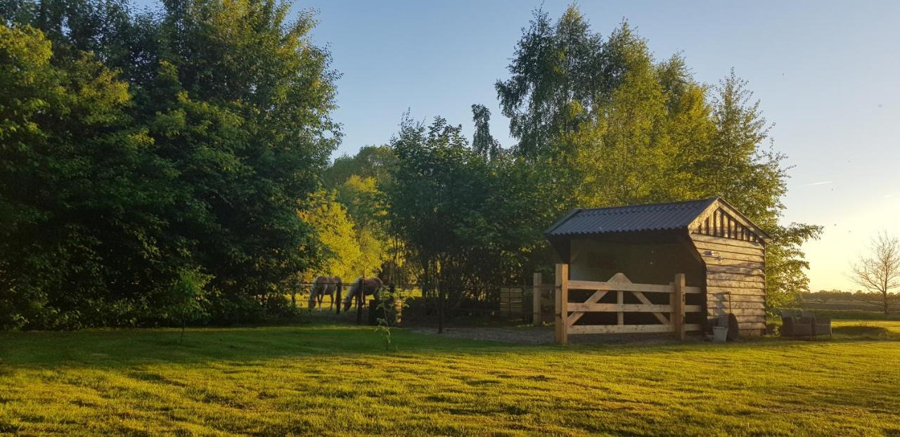Bed and Breakfast Bij Saar Zwinderen Exteriér fotografie